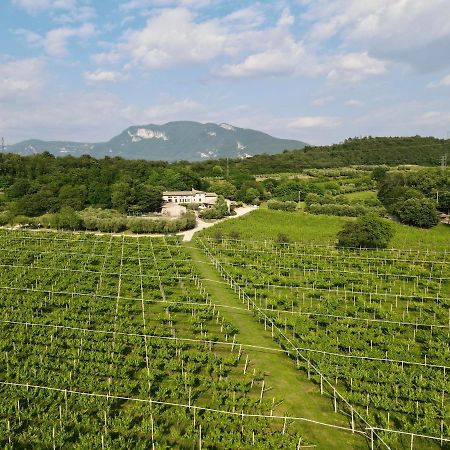 Serene Holiday And Wine Farm Affi Bagian luar foto
