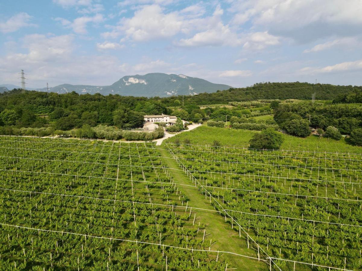 Serene Holiday And Wine Farm Affi Bagian luar foto
