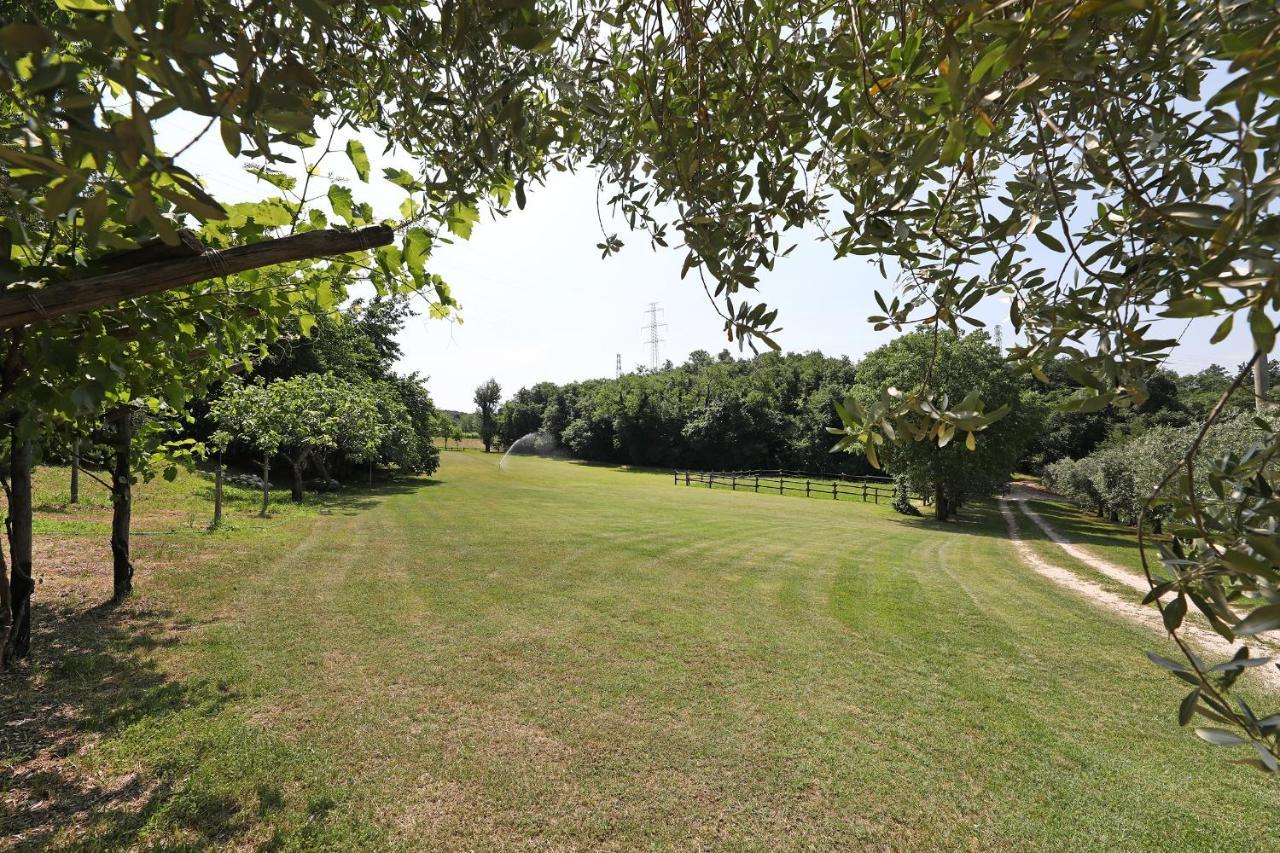 Serene Holiday And Wine Farm Affi Bagian luar foto