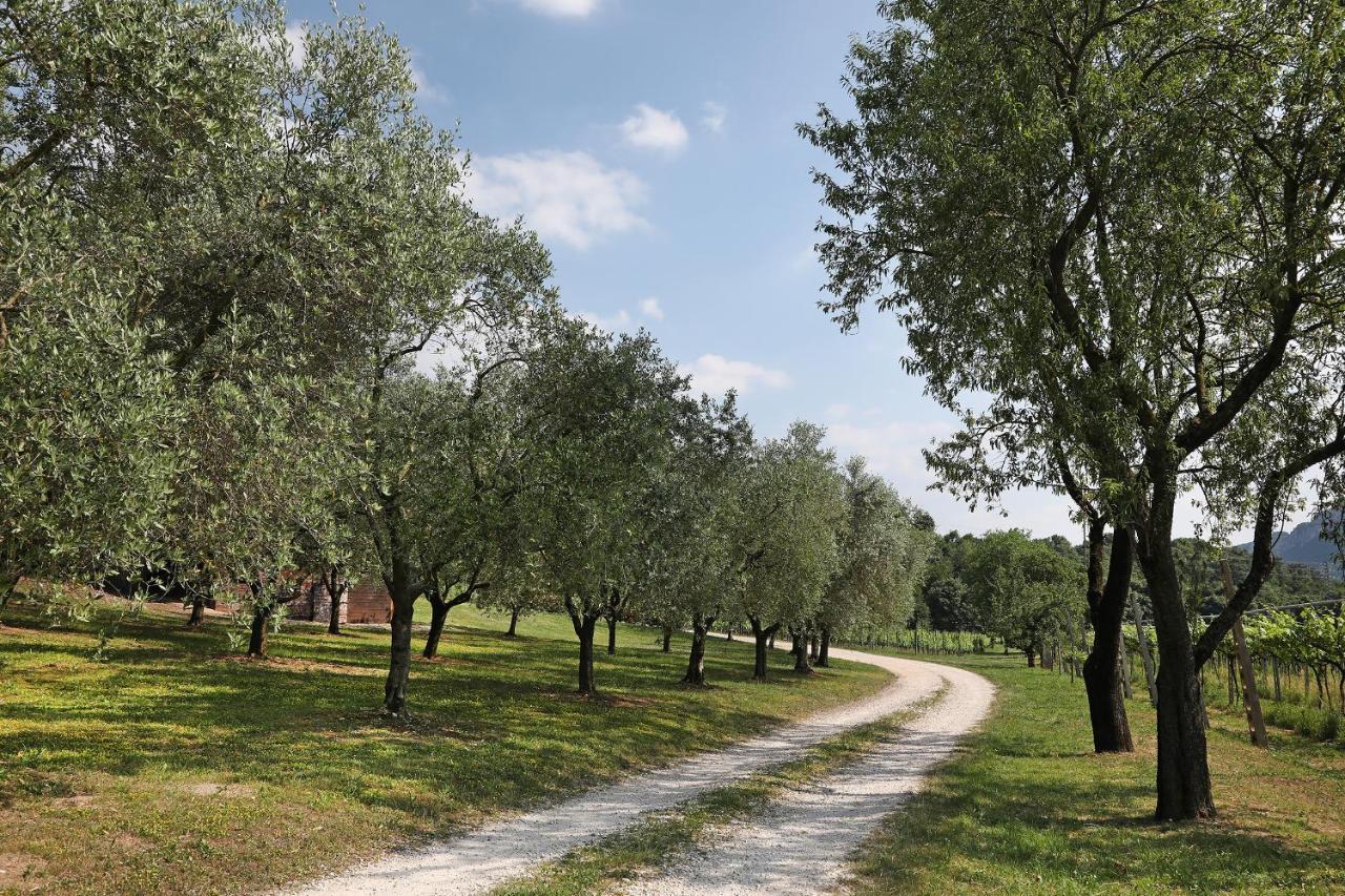 Serene Holiday And Wine Farm Affi Bagian luar foto