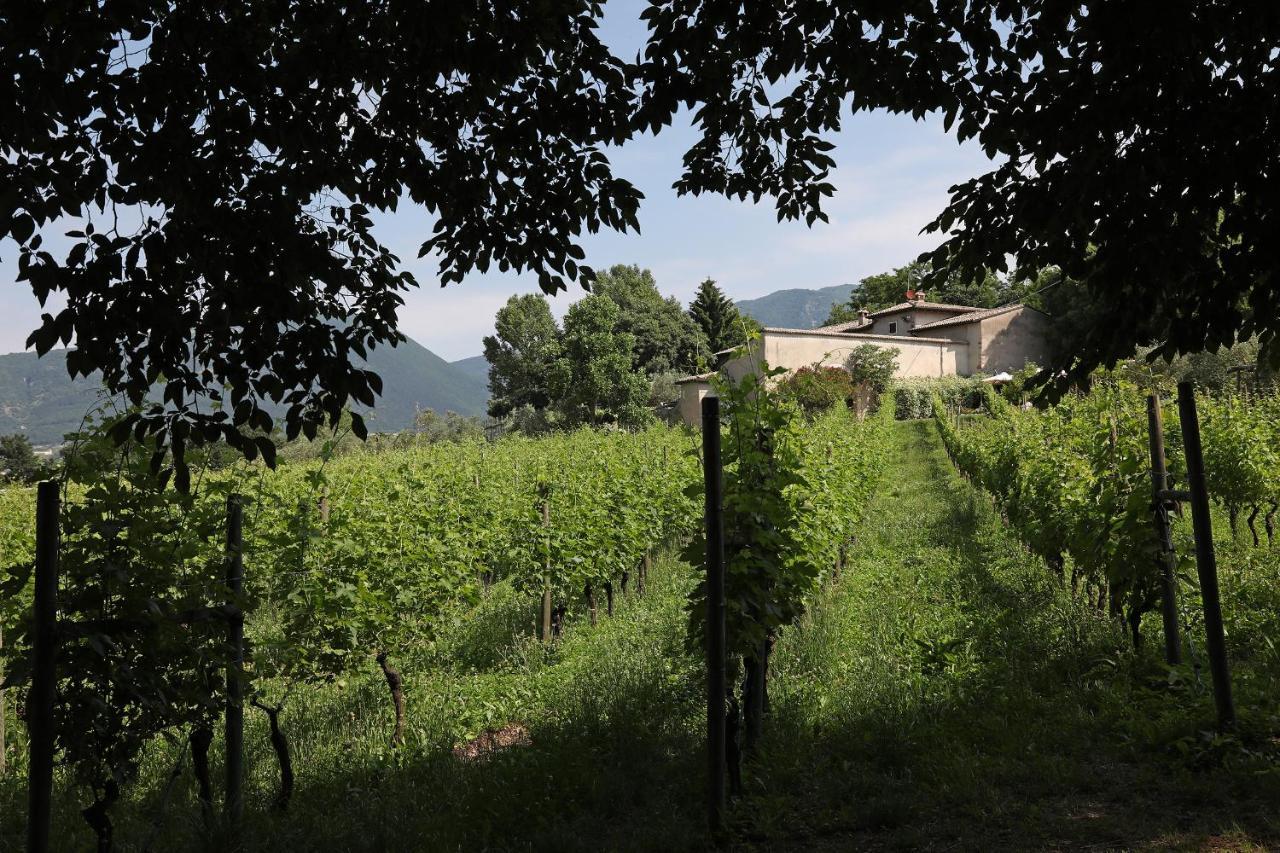 Serene Holiday And Wine Farm Affi Bagian luar foto