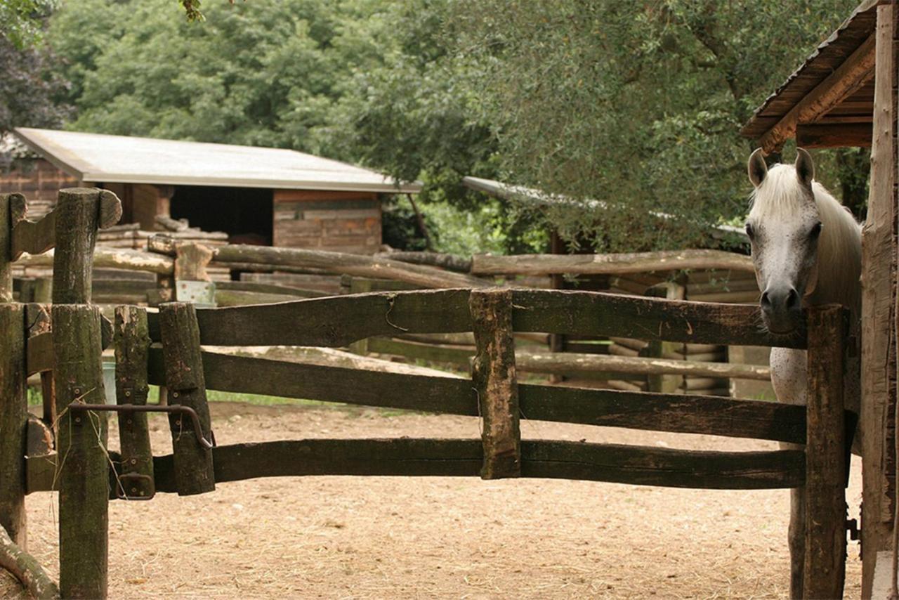 Serene Holiday And Wine Farm Affi Bagian luar foto