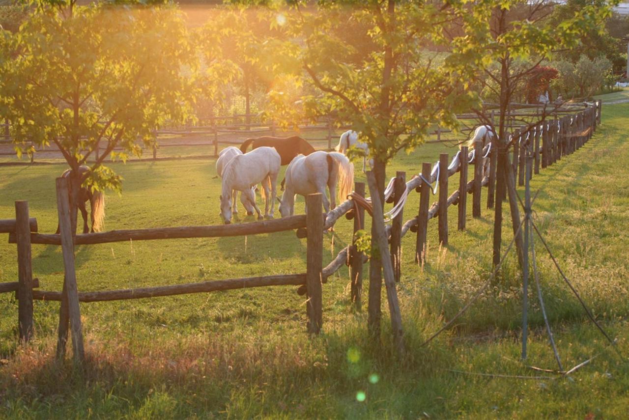 Serene Holiday And Wine Farm Affi Bagian luar foto