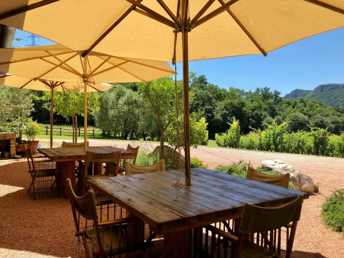 Serene Holiday And Wine Farm Affi Bagian luar foto
